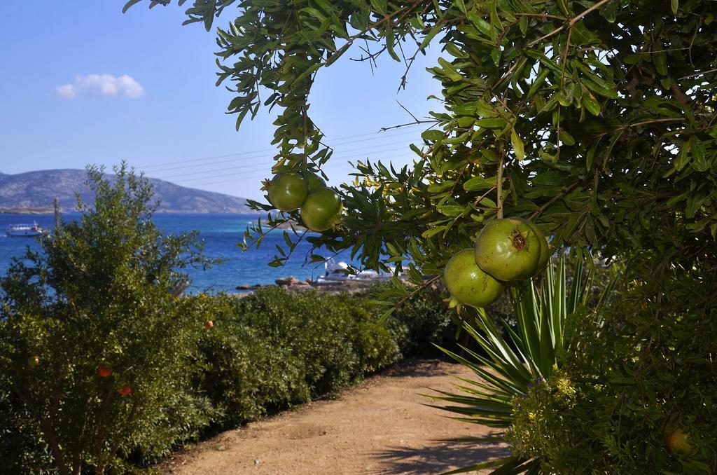 Onar Studios Koufonisia Exteriör bild
